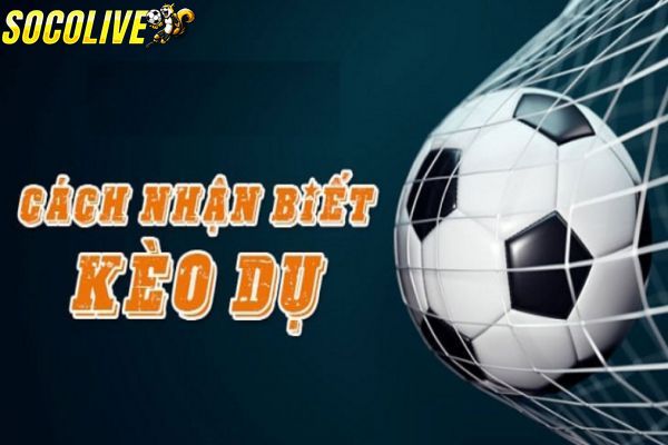 Học hỏi cách nhận biết kèo dụ của cao thủ